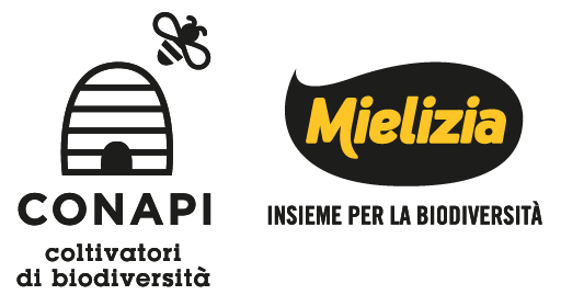 mielizia