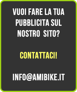 pubblicita ami