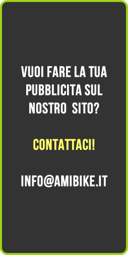pubblicita ami big