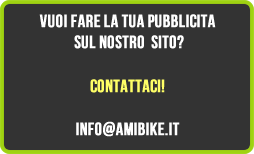 pubblicita ami small