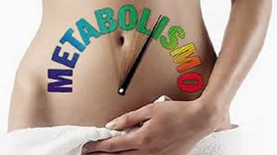 metabolismo