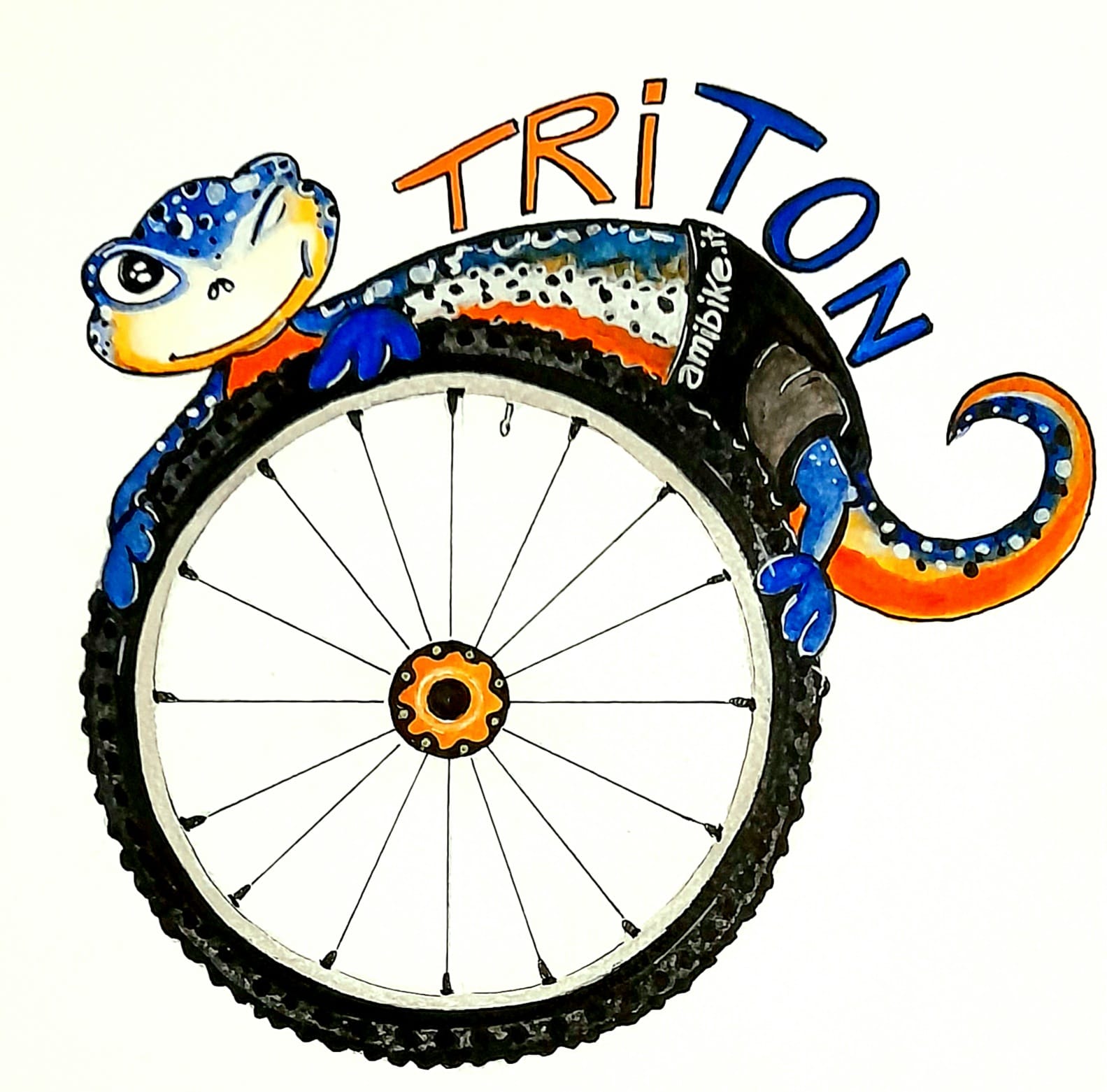 triton-amibike